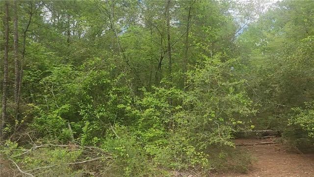Lot 5 Pin Oak Drive, Plantersville, TX 77363