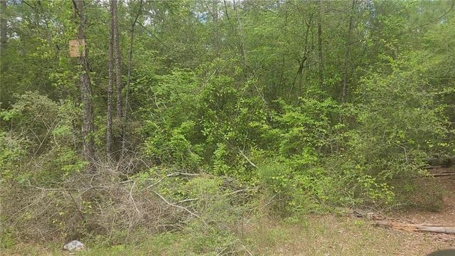 Lot 5 Pin Oak Drive, Plantersville, TX 77363