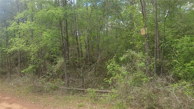 Lot 5 Pin Oak Drive, Plantersville, TX 77363