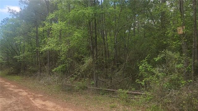 Lot 5 Pin Oak Drive, Plantersville, TX 77363