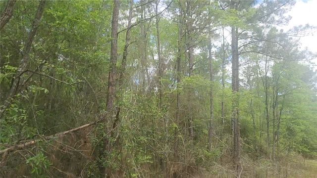 Lot 5 Pin Oak Drive, Plantersville, TX 77363
