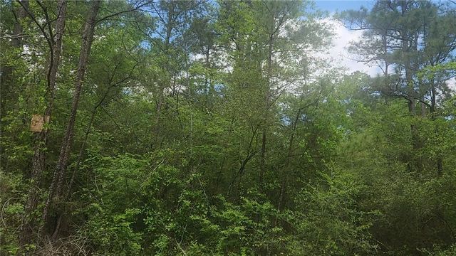 Lot 5 Pin Oak Drive, Plantersville, TX 77363