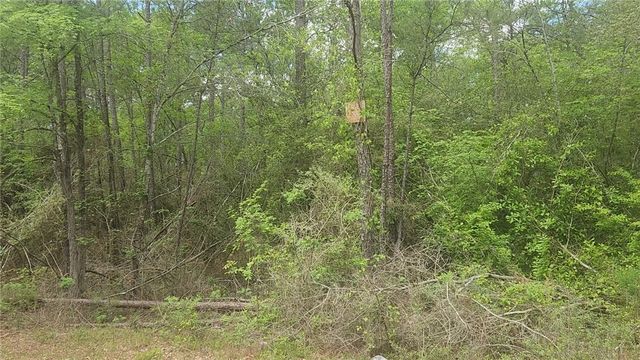Lot 5 Pin Oak Drive, Plantersville, TX 77363
