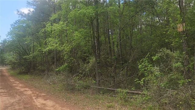 Lot 5 Pin Oak Drive, Plantersville, TX 77363