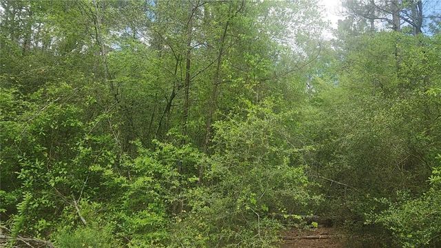 Lot 5 Pin Oak Drive, Plantersville, TX 77363
