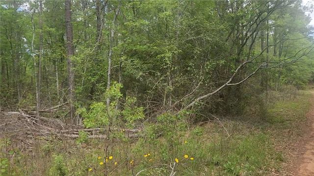 Lot 5 Pin Oak Drive, Plantersville, TX 77363