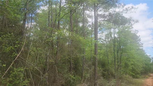 Lot 5 Pin Oak Drive, Plantersville, TX 77363