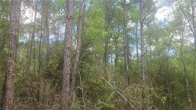 Lot 5 Pin Oak Drive, Plantersville, TX 77363
