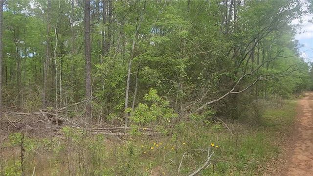 Lot 5 Pin Oak Drive, Plantersville, TX 77363