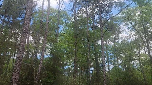 Lot 5 Pin Oak Drive, Plantersville, TX 77363