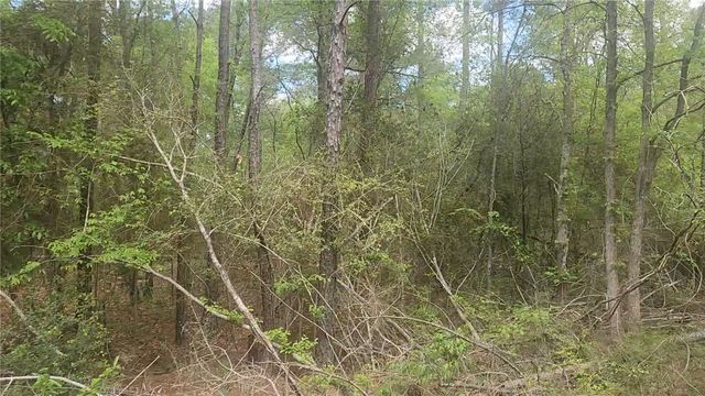 Lot 5 Pin Oak Drive, Plantersville, TX 77363