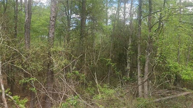 Lot 5 Pin Oak Drive, Plantersville, TX 77363
