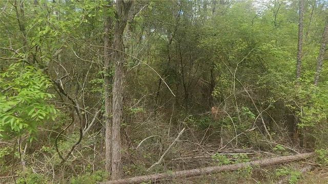 Lot 5 Pin Oak Drive, Plantersville, TX 77363