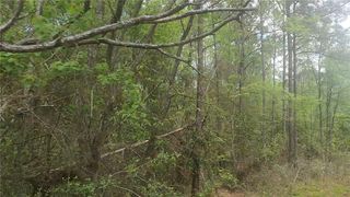 Lot 5 Pin Oak Drive, Plantersville, TX 77363