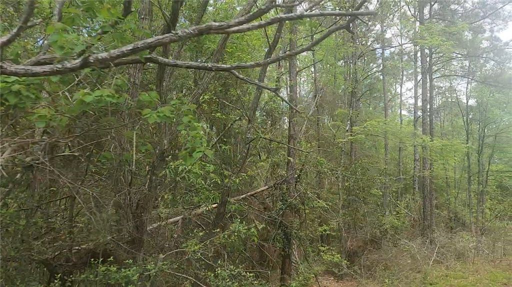 Lot 5 Pin Oak Drive, Plantersville, TX 77363