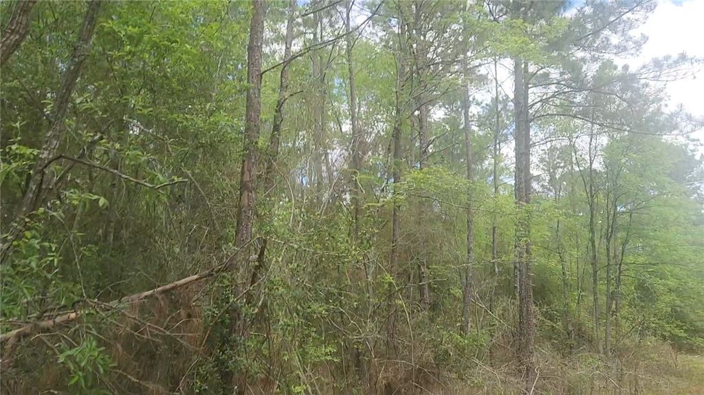 Lot 5 Pin Oak Drive, Plantersville, TX 77363 — photo 2