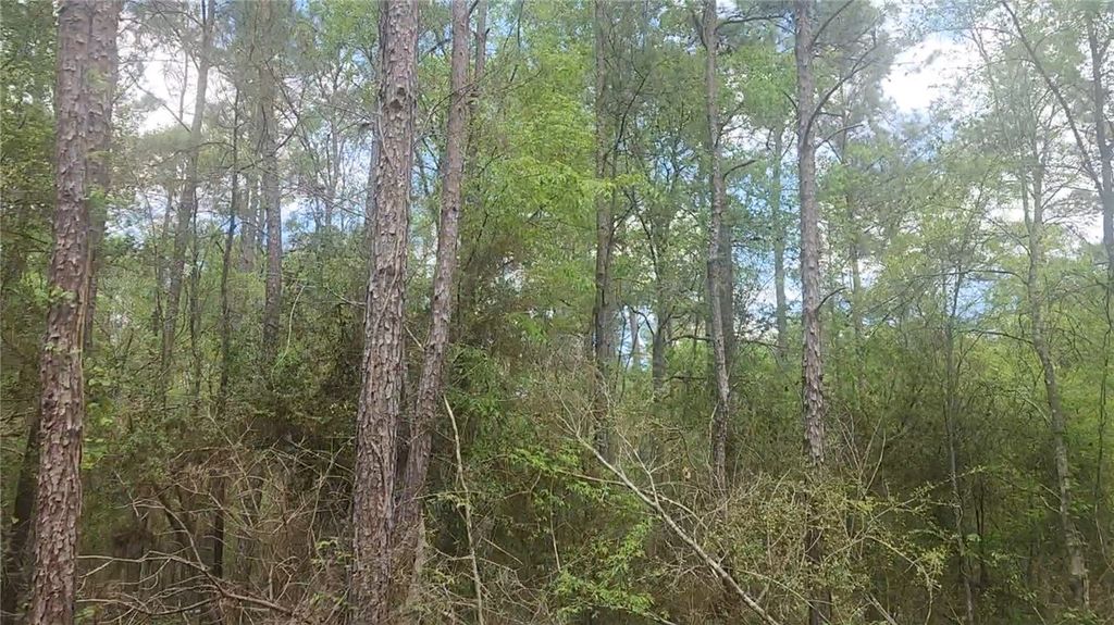 Lot 5 Pin Oak Drive, Plantersville, TX 77363 — photo 4