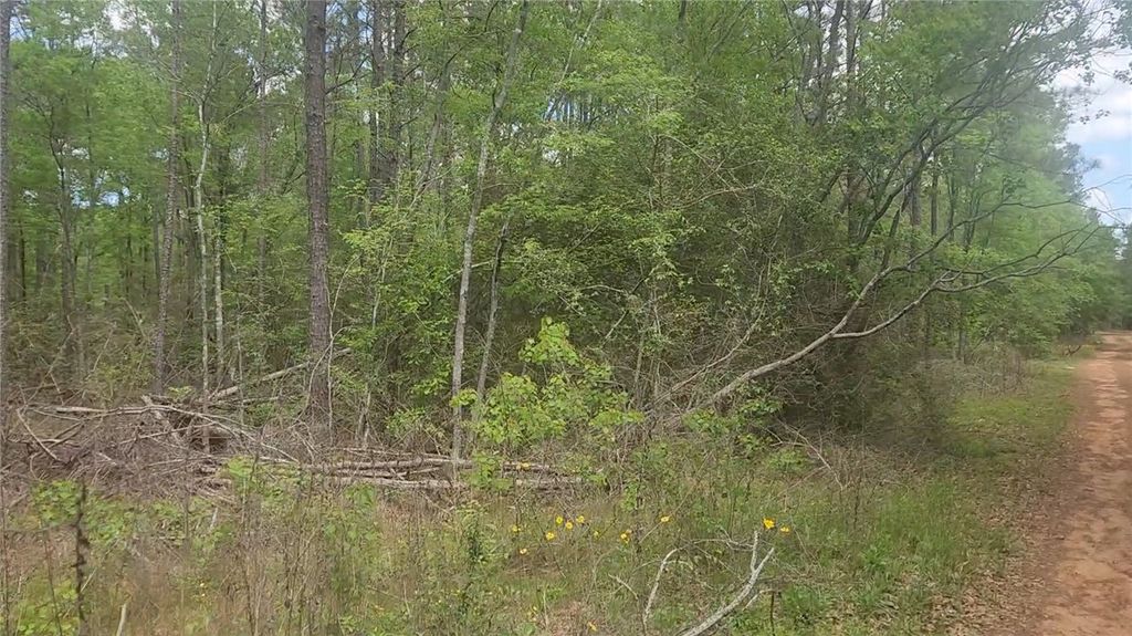 Lot 5 Pin Oak Drive, Plantersville, TX 77363 — photo 5