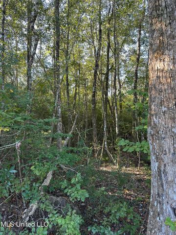 Lee Avenue, Hattiesburg, MS 39401