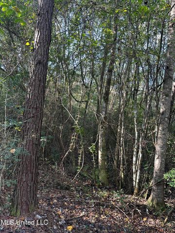 Lee Avenue, Hattiesburg, MS 39401