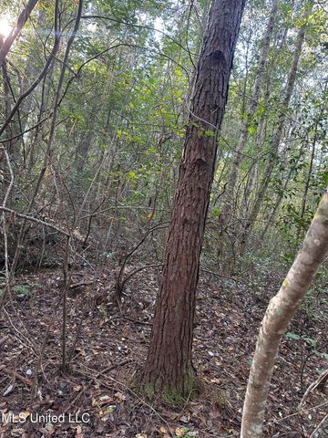 Lee Avenue, Hattiesburg, MS 39401