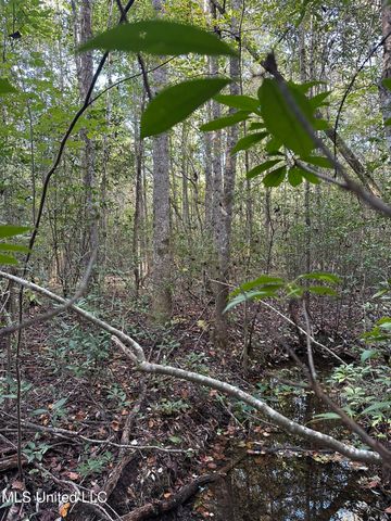 Lee Avenue, Hattiesburg, MS 39401