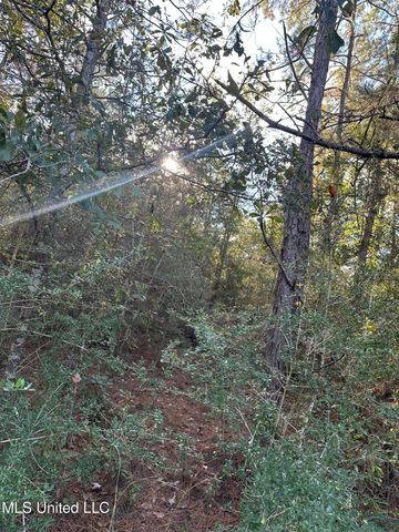 Lee Avenue, Hattiesburg, MS 39401