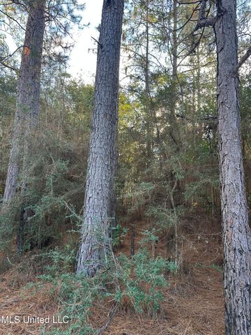 Lee Avenue, Hattiesburg, MS 39401