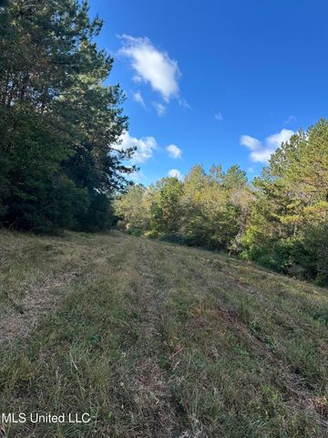 Lee Avenue, Hattiesburg, MS 39401