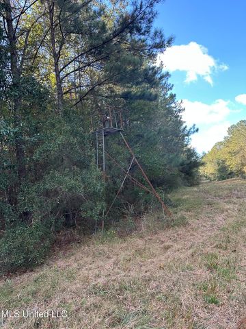 Lee Avenue, Hattiesburg, MS 39401