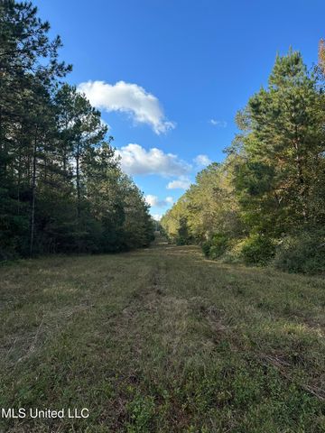 Lee Avenue, Hattiesburg, MS 39401