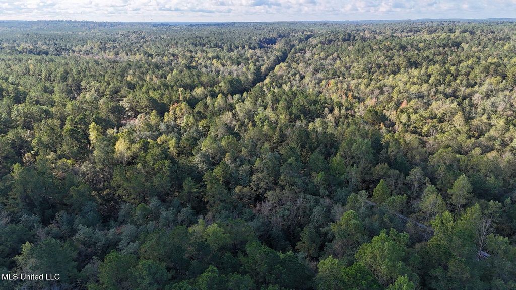 Lee Avenue, Hattiesburg, MS 39401
