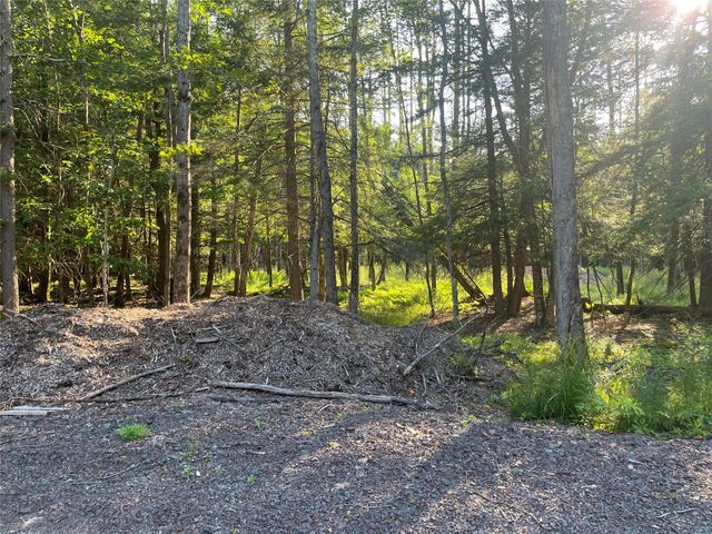 TBD Lot 8 Boulder Brook Road, Windham, NY 12496