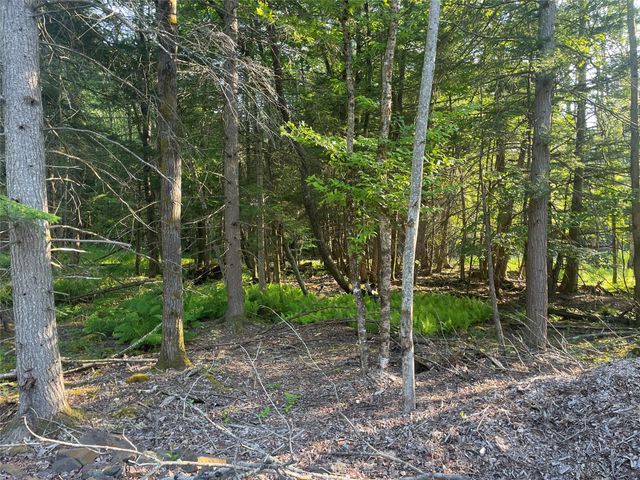 TBD Lot 8 Boulder Brook Road, Windham, NY 12496