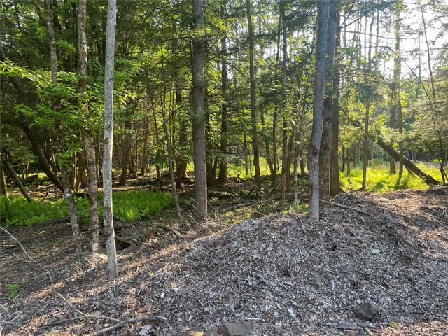 TBD Lot 8 Boulder Brook Road, Windham, NY 12496