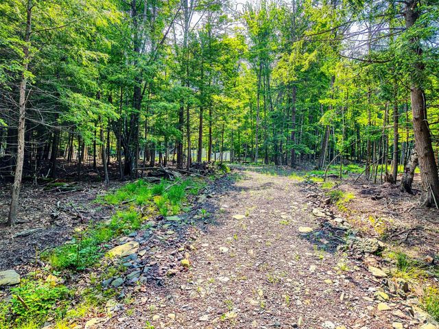 TBD Lot 8 Boulder Brook Road, Windham, NY 12496