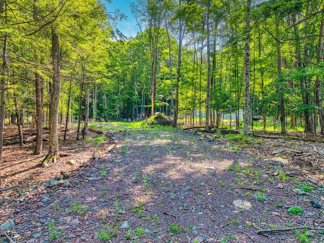 TBD Lot 8 Boulder Brook Road, Windham, NY 12496
