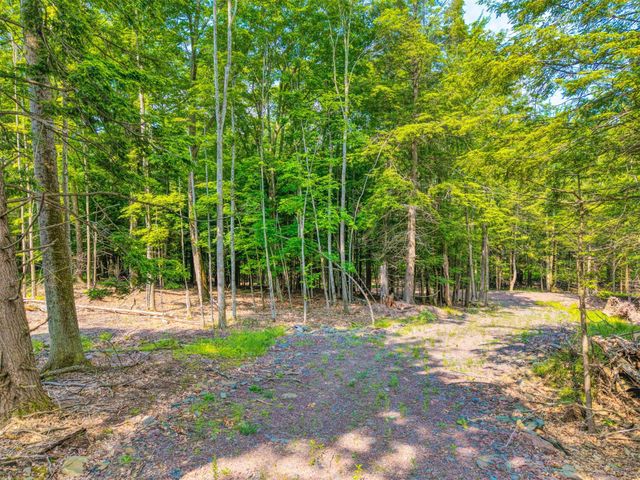 TBD Lot 8 Boulder Brook Road, Windham, NY 12496