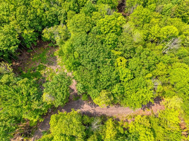 TBD Lot 8 Boulder Brook Road, Windham, NY 12496