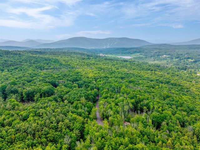 TBD Lot 8 Boulder Brook Road, Windham, NY 12496