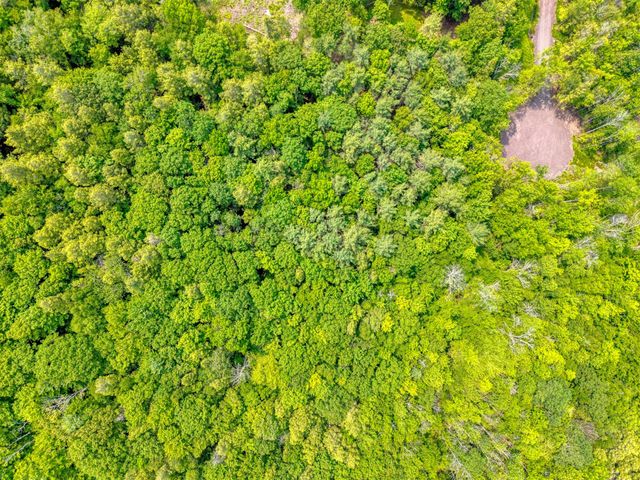 TBD Lot 8 Boulder Brook Road, Windham, NY 12496