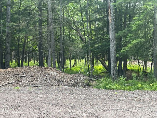 TBD Lot 8 Boulder Brook Road, Windham, NY 12496