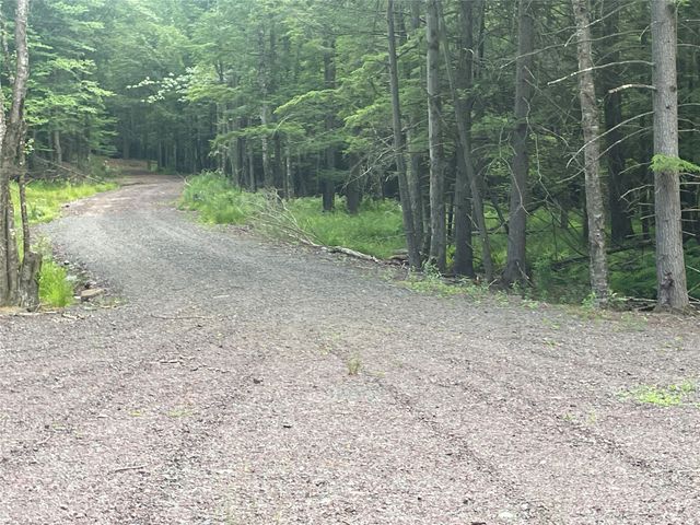 TBD Lot 8 Boulder Brook Road, Windham, NY 12496