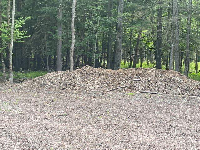 TBD Lot 8 Boulder Brook Road, Windham, NY 12496