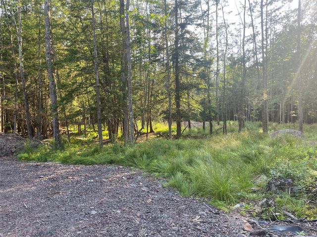 TBD Lot 8 Boulder Brook Road, Windham, NY 12496