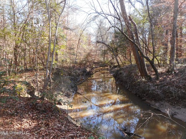 Peter Mcaffee Drive, Brandon, MS 39042