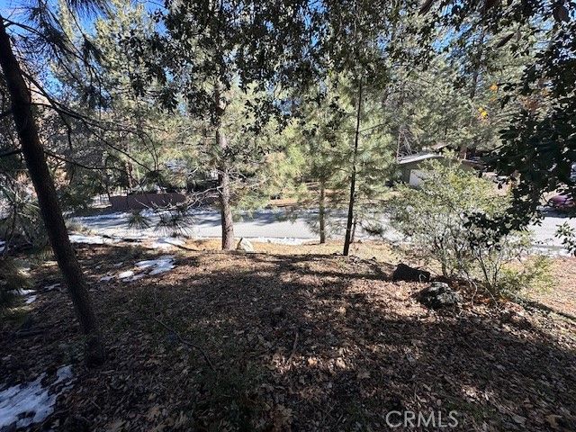 0 Flume Canyon, Wrightwood, CA 92397