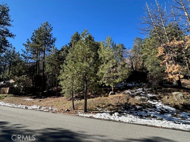 0 Flume Canyon, Wrightwood, CA 92397