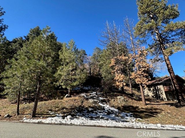0 Flume Canyon, Wrightwood, CA 92397