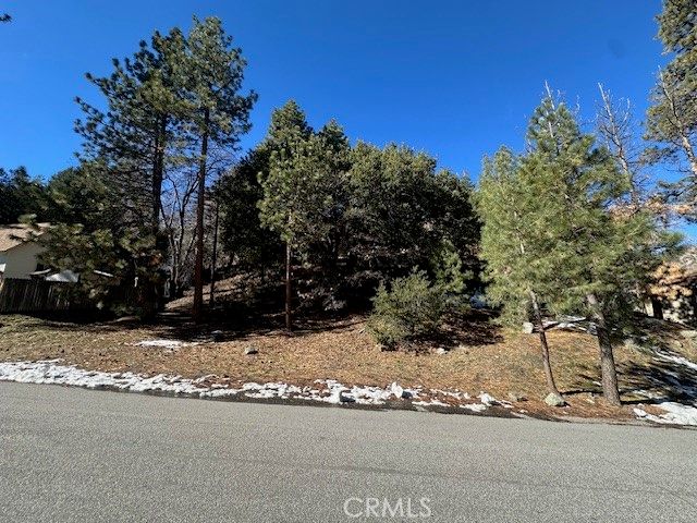 0 Flume Canyon, Wrightwood, CA 92397